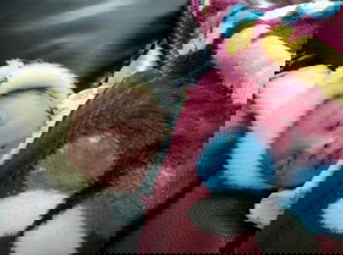 Kelahiran anak pertama