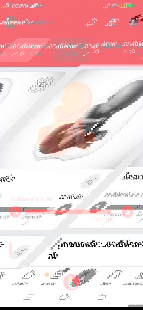 ทีมพฤษภาคม