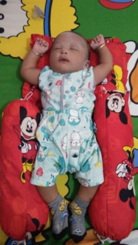 Alfarendra Malik ibrohim