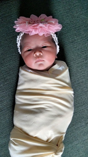 Alhamdulillah launching