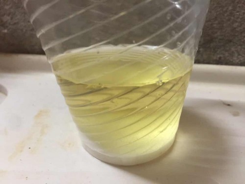 ทดสอบเพศลูกน้อยด้วยเบกกิ้งโซดา