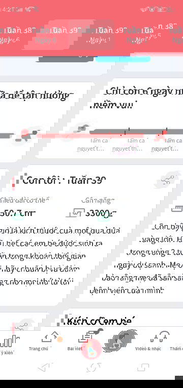 39 tuần rồi nhiều cảm xúc ùa về quá mấy mom ơiiiiiiii 
Dấu hiệu chuyển dạ như thế nào chỉ em với ạ ?