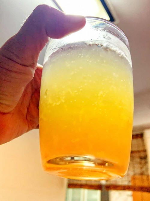 Kombucha times