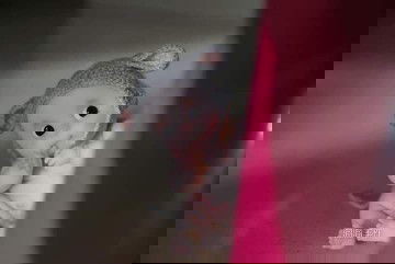 Pregnant Trimester 1