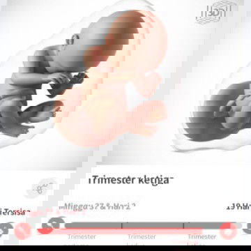 Nunggu gelombang cinta