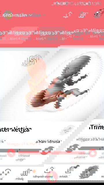 Menjelang persalinan