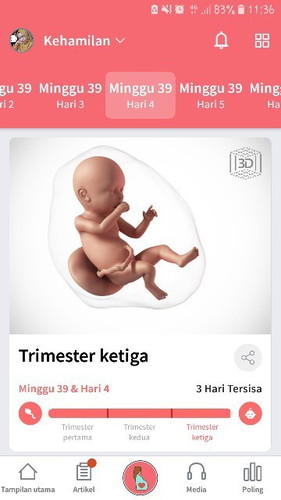 Menjelang persalinan