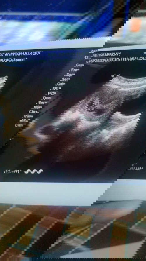 Tolong bantu jawab ,