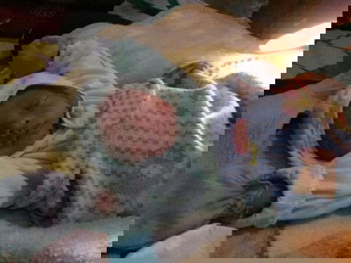 Menjawab Semua Shamming