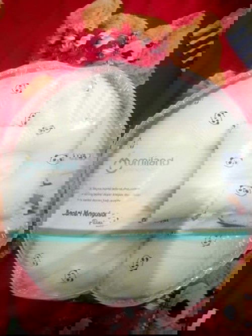 BANTAL MENYUSUI OMILAND (TERJUAL)