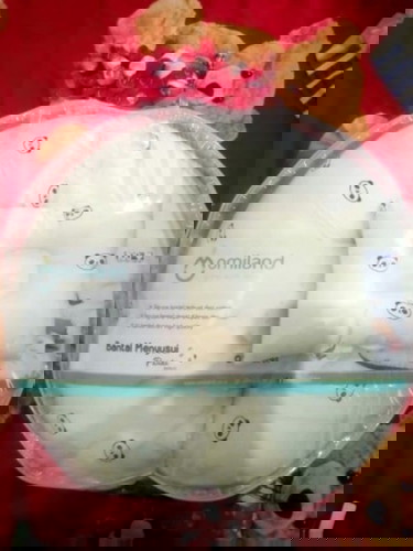 BANTAL MENYUSUI OMILAND (TERJUAL)