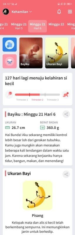 Berpuasa saat hamil