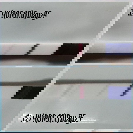 Hi assalamualaikum ibu²..salam Ramadan ya.nk tanya klu mcm ni positif tak?xlewat lg due period 15hb.