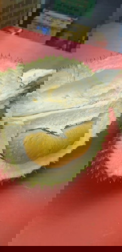 Can I eat durians during pregnancy?