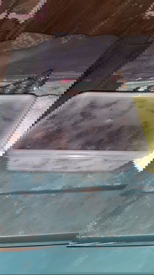 Tanya dong bunnn😊😊😊