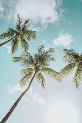 I'm a first-time mom. May ubo't sipon ako, what can I possibly drink kaya? Nasusuka ako sa maasim.