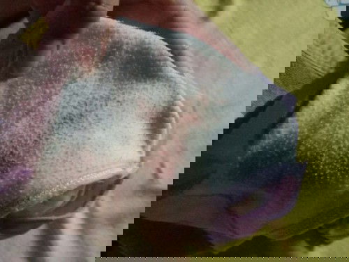 ขอถามแม่ๆหน่อยจ้ะ