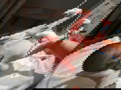 Pre & Post Natal Massages