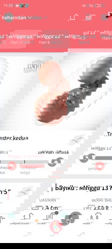 Bun kalau 13 minggu itu berla bulan ya bun