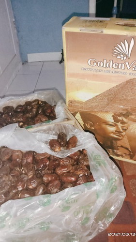 kurma goldenvalley