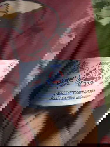 นมตราหมีสีฟ้า