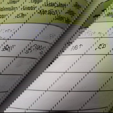 arti letak janin di buku kia