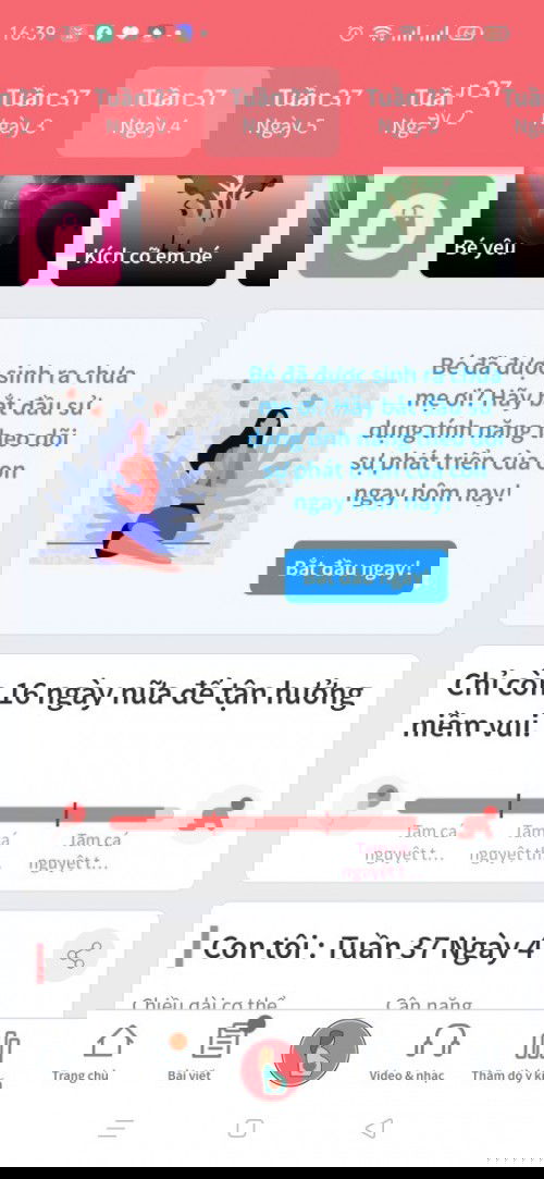 Tập đầu nên lo lắng quá các mom