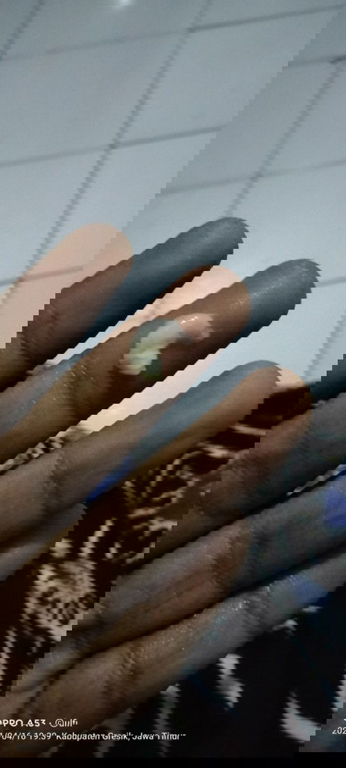 Tolong di jawab bunda karna bener2 gtw