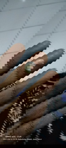 Tolong di jawab bunda karna bener2 gtw