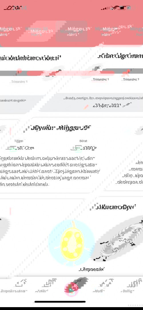 Agar segera launching