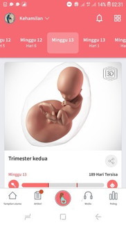 Usia 13 weeks
