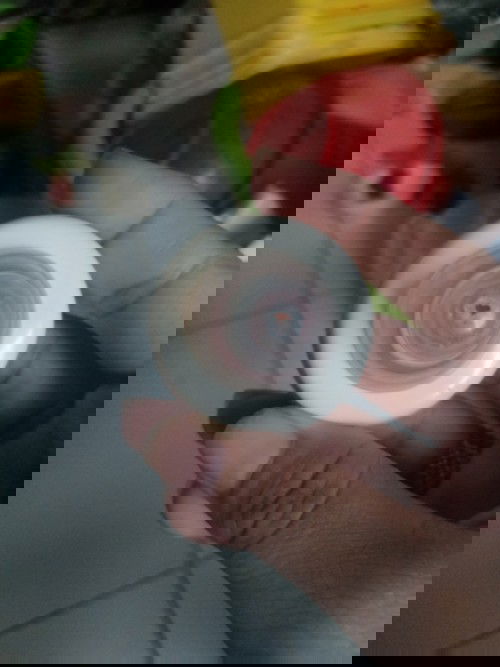 Cho e hỏi với ạ.