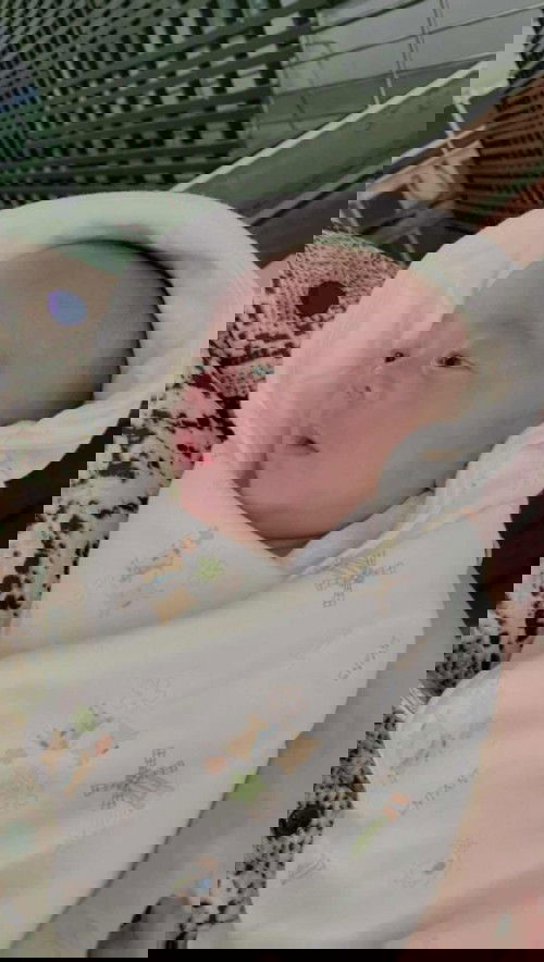 เจ้าหมูอ้วนของแม่