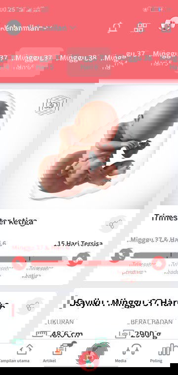 Menanti gelombang cinta