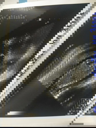 แม่ ๆ ช่วยดูหน่อยค่ะ