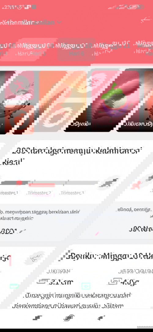 Fitur Pemantau Kehamilan