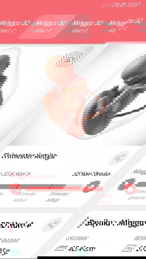 FITUR PEMANTAU KEHAMILAN