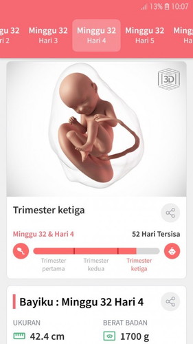 FITUR PEMANTAU KEHAMILAN