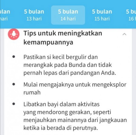 Pemantau Bayi