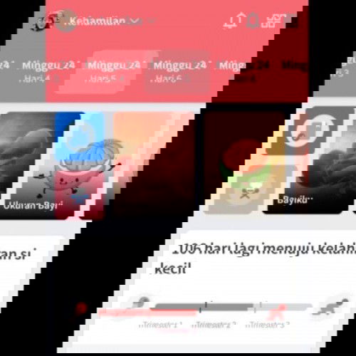 MILESTONE bayiku terlihat melalui Fitur Pemantau Kehamilan