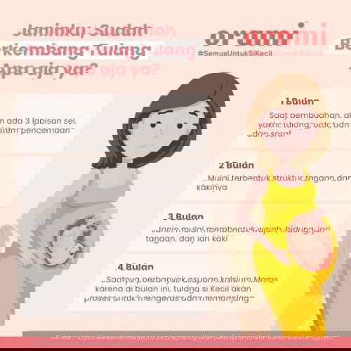 AWAL BULAN KEHAMILAN