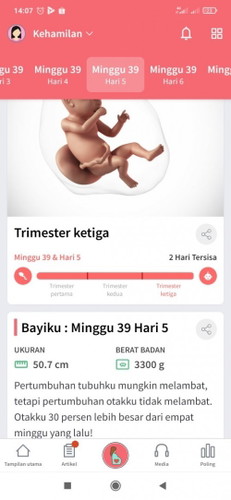 Beluk kontraksi