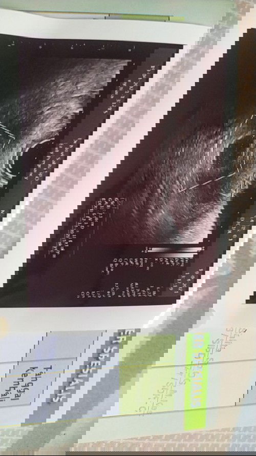 Mauu tau bgttt jawbannya