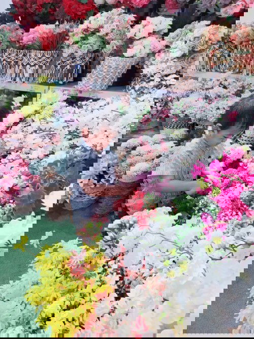 CABUT GIGI DI MASA PANDEMI