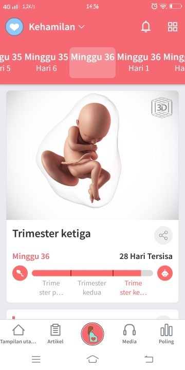 Seputar bumil