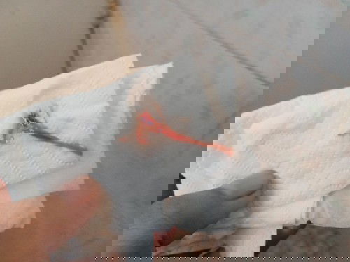 มีมูกเลือดสีน้ำตาลออกแต่ไม่เยอะ​