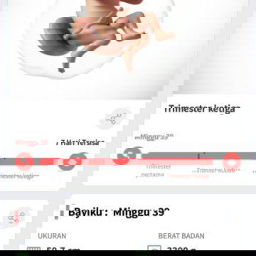 Menunggu waktu lahiran...