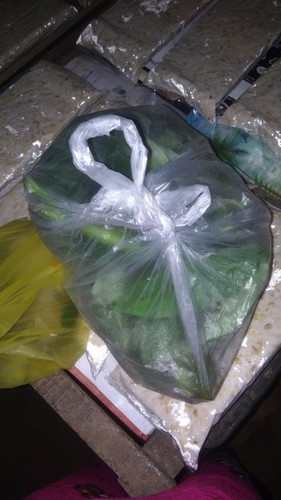 Bun aku mau tanya apa bner minum perasan daun randu bisa merubah posisi janin drisungsang jdi normal