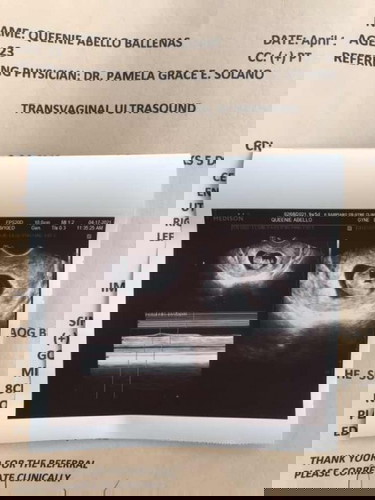 TransVaginal Ultrasound