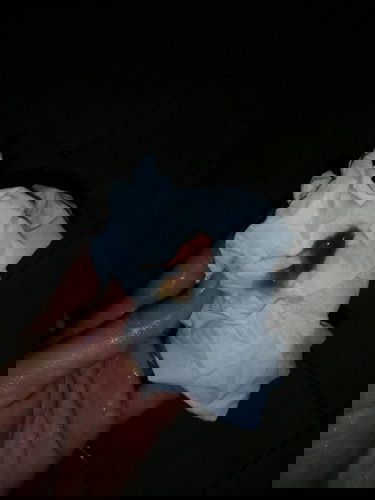 มีเลือดออก